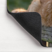 Ginger Cat auf einem rustikalen Zaun Mousepad (Ecke)