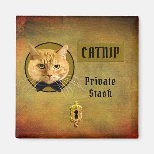 Ginger Cat Customizable Catnip Magnet (Vorne)