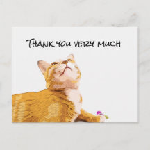 Ginger Cat Danke, dass die Kartenkatze nach oben s
