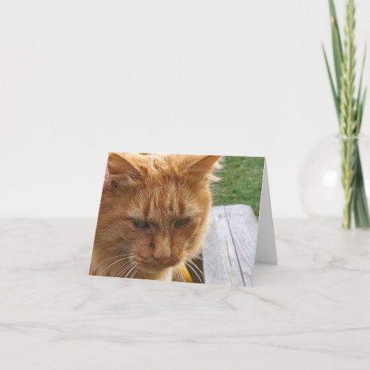 Ginger Cat Dankeskarte (Vorderseite)
