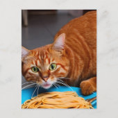 Ginger Cat Eating Spaghetti Postkarte (Vorderseite)