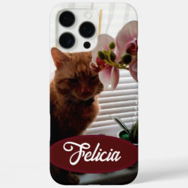 Ginger Cat Foto and Name, benutzerdefinierbar , iPhone 16 Pro Max Hülle