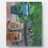 Ginger Cat Fotoplatte (Vorderseite)