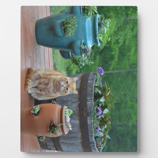 Ginger Cat Fotoplatte (Vorderseite)