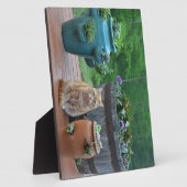 Ginger Cat Fotoplatte (Seite)