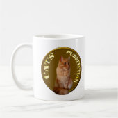 Ginger Cat Gold Coin, Kaffee Tasse (Links)
