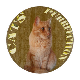 Ginger Cat Gold Coin, Round Chopping Board Schneidebrett