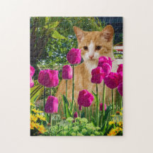Ginger Cat in Tulip Garden