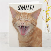 GINGER CAT-KLEINEN DENKEN SIE Grußkarten Karte (Gelbe Blume)