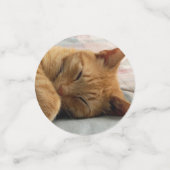 Ginger Cat Konfetti (Klein Vorderseite)