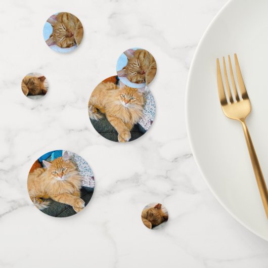 Ginger Cat Konfetti (Gruppe)