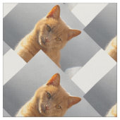 Ginger cat Merlin Stoff (Nahaufnahme)