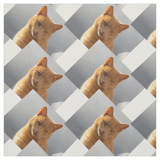 Ginger cat Merlin Stoff (Muster)