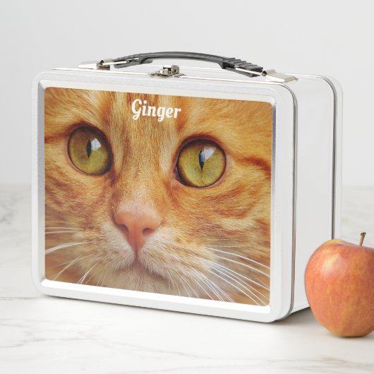 Ginger Cat Metall Brotdose (Beispiel)