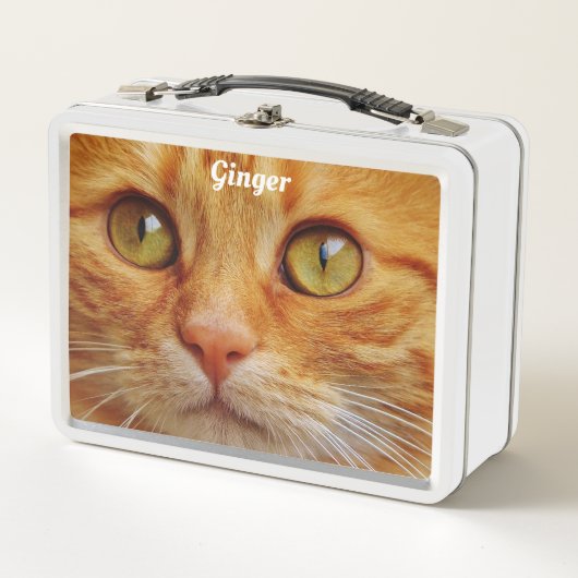 Ginger Cat Metall Brotdose (Vorderseite)