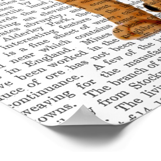 Ginger Cat mit Crown Full Poster (Ecke)