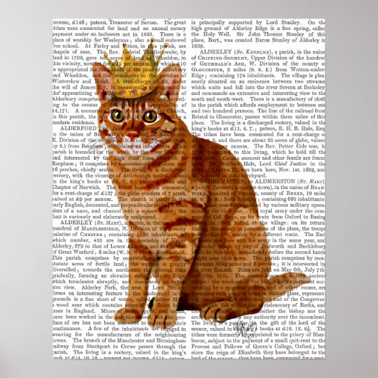 Ginger Cat mit Crown Full Poster (Vorne)