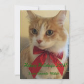 Ginger Cat mit Red Ribbon Weihnachten (Vorderseite)