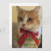 Ginger Cat mit Red Ribbon Weihnachten (Vorne/Hinten)