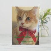 Ginger Cat mit Red Ribbon Weihnachten (Stehend Vorderseite)