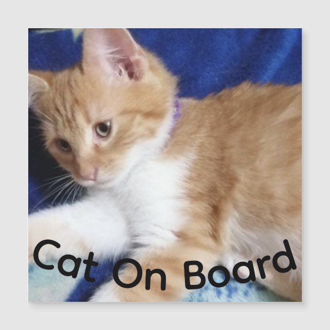 ginger cat on board photo,  car magnet (Vorderseite)