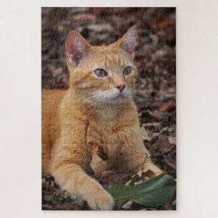 Ginger Cat Outcome Herbst Leaves Portrait Puzzle