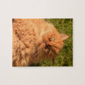 GINGER CAT PERSIAN JIGSAW Puzzle (Horizontal)