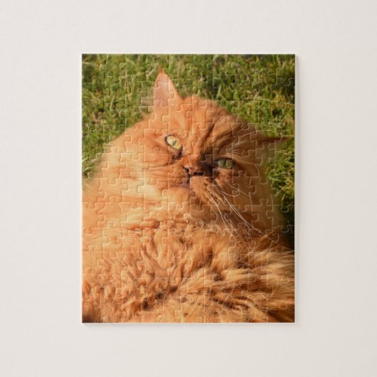 GINGER CAT PERSIAN JIGSAW Puzzle (Vertikal)