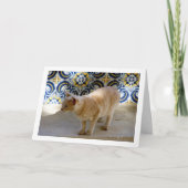 Ginger Cat Portrait Karte (Vorderseite)