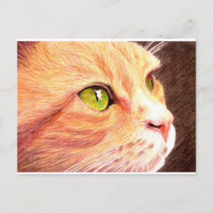 Ginger Cat Postcard Postkarte