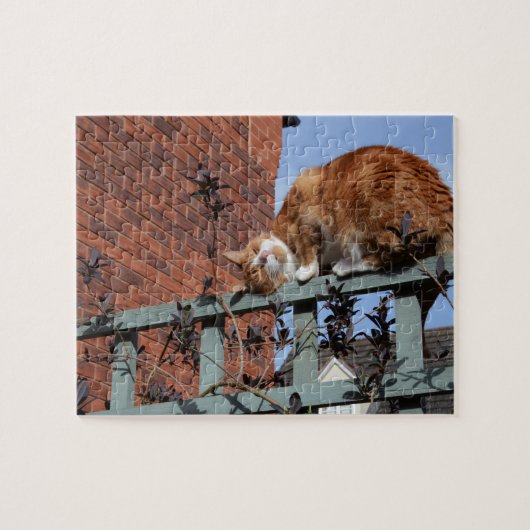 Ginger Cat Puzzle (Horizontal)