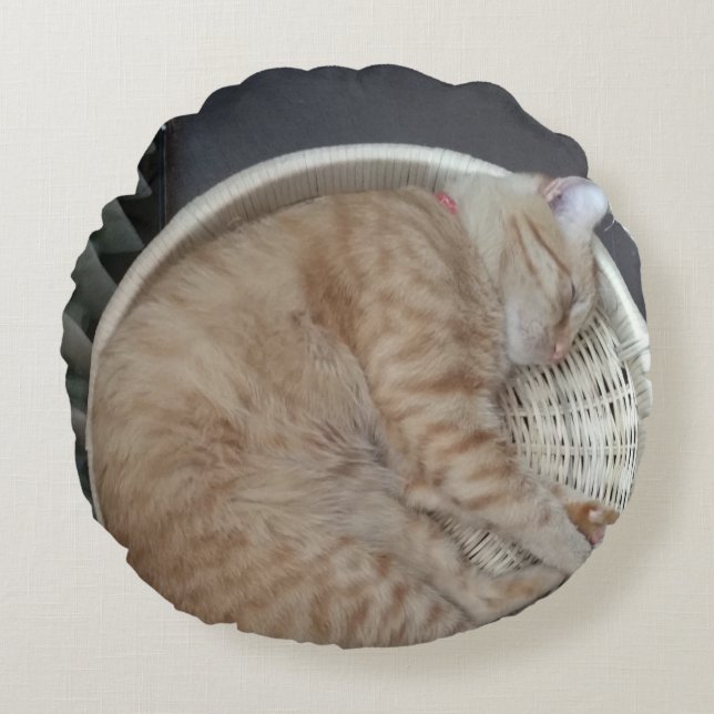 Ginger Cat Round Pillow Rundes Kissen (Vorderseite)