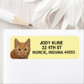 GINGER CAT-Rücksendeadresse (Insitu)