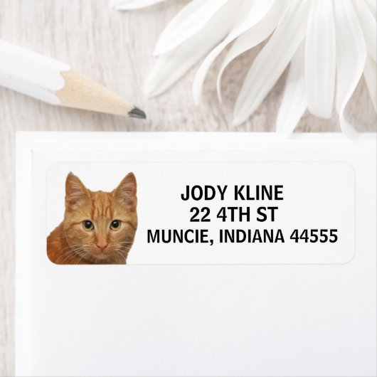 GINGER CAT-Rücksendeadresse (Insitu)