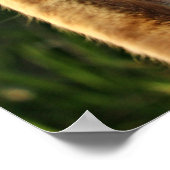 Ginger Cat Saying Hi! Poster (Ecke)