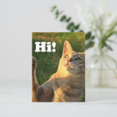 Ginger Cat Saying Hi! Postkarte (Stehend Vorderseite)