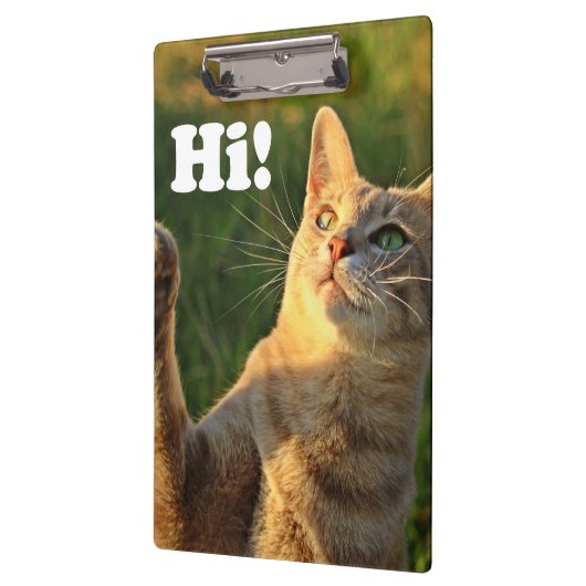 Ginger Cat Sprichwort Hi! Klemmbrett (Links)