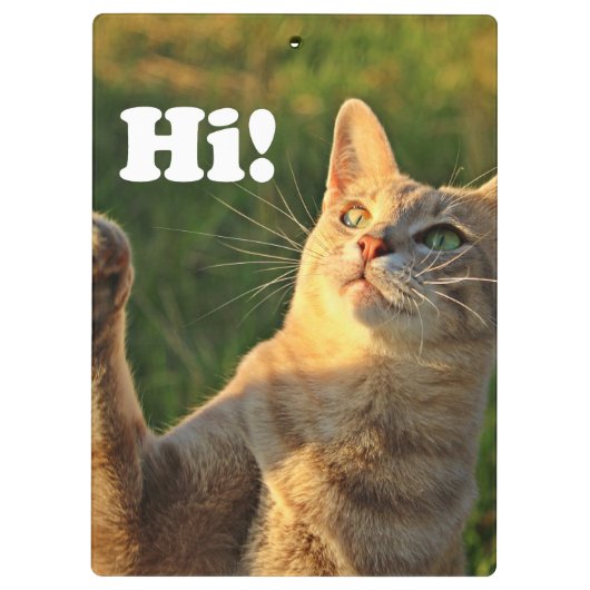 Ginger Cat Sprichwort Hi! Klemmbrett (Rückseite)