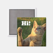 Ginger Cat Sprichwort Hi! Magnet (Vorderseite/Rückseite)