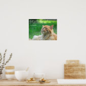 Ginger Cat St. Augustine Wahrheit Zitat Poster (Küche)
