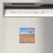 Ginger Cat Stehend an der Ziegelmauer Magnet (In Situ (Geschirrspüler))
