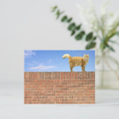 Ginger Cat Stehend an der Ziegelmauer Postkarte (Stehend Vorderseite)
