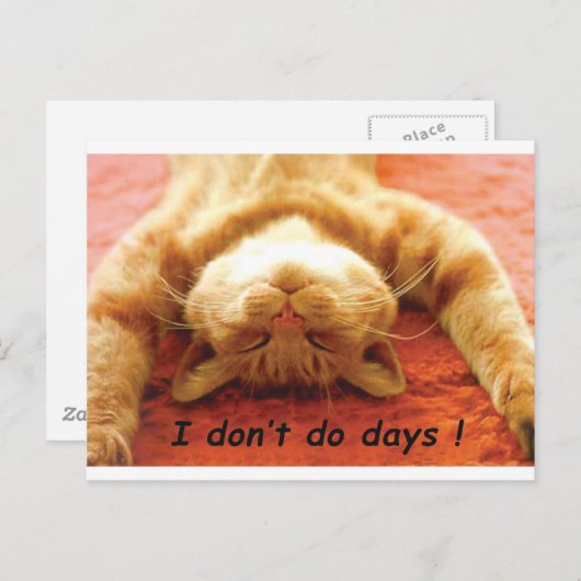 Ginger Cat T-Shirt, I don't Do Days Postkarte (Vorne/Hinten)