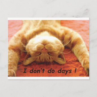 Ginger Cat T-Shirt, I don't Do Days Postkarte
