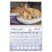 Ginger Cat Wall Calendar 2022 Kalender (Feb 2027)