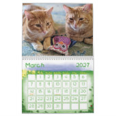 Ginger Cat Wall Calendar 2022 Kalender (Mär 2027)
