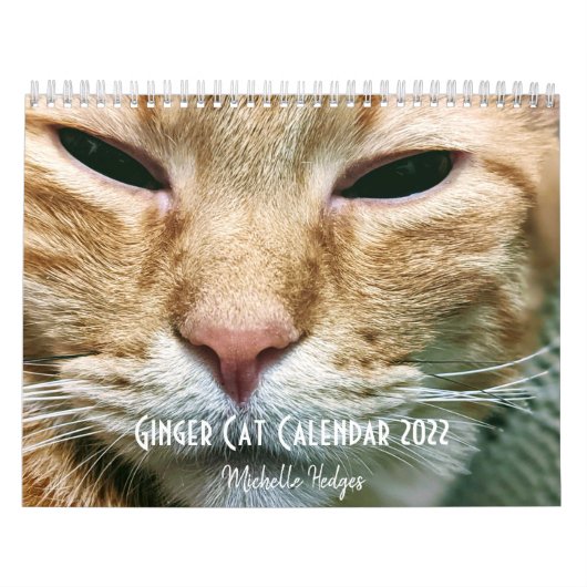 Ginger Cat Wall Calendar 2022 Kalender (Titelbild)