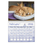 Ginger Cat Wall Calendar 2022 Kalender (Feb 2026)