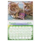 Ginger Cat Wall Calendar 2022 Kalender (Mär 2026)