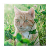 Ginger Cat with Green Eyes in Grass Fliese (Vorderseite)